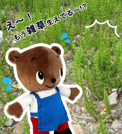 画像1-.png