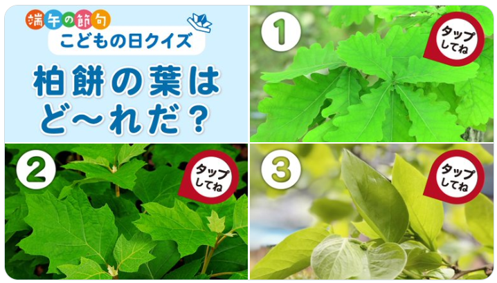 画像0507.png
